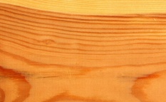 Виды древесины и их свойства