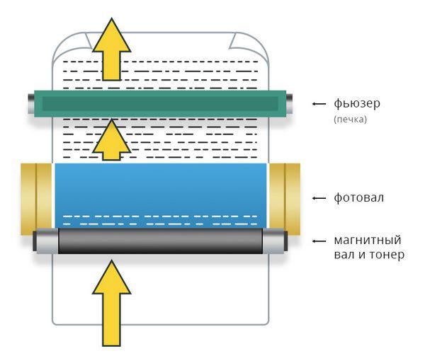 Изображена схема печати на лазерном принтере