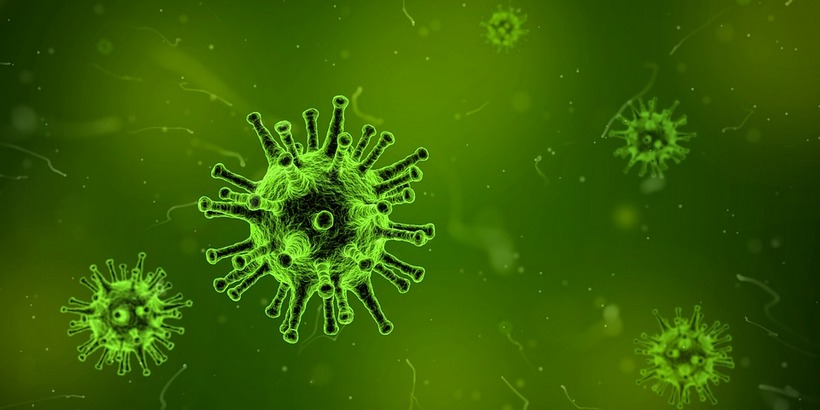 Бактерии и вирусы